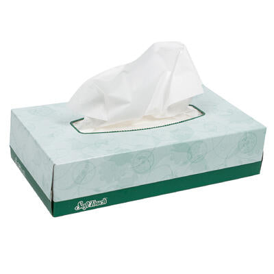 facial tissue 100ct 2 ply sof -- 30 per case