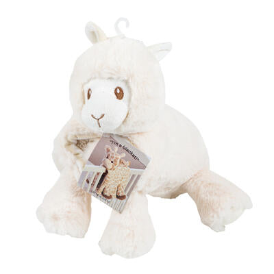 blanket plush 23 llil llama lo -- 6 per case