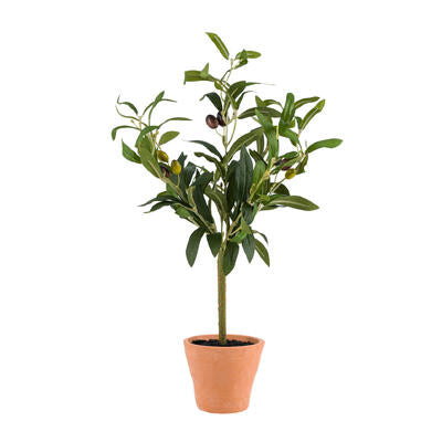 artificial plant 18 oilve tre -- 2 per case