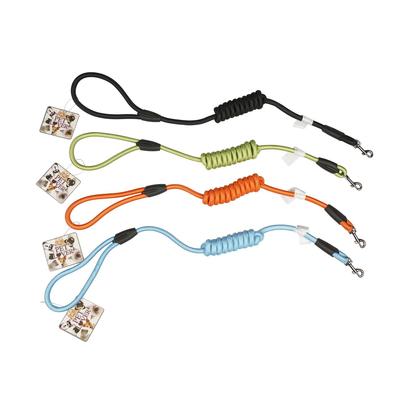 pet leash- small- 72 - 4 assorted colors -- 24 per case