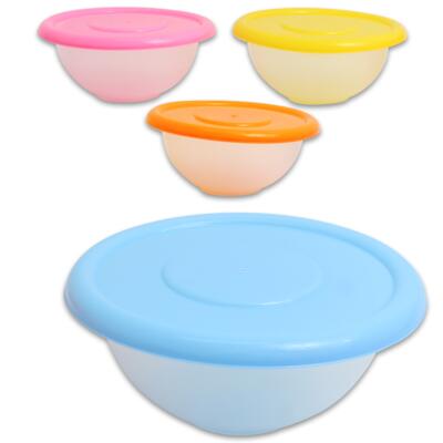 9.75 in plastic containers with colored lids - assorted -- 72 per case