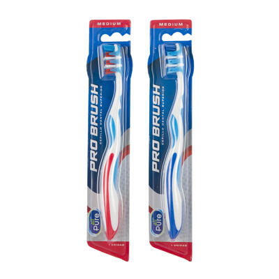 all pure adult toothbrushes - bulk  -- 48 per case