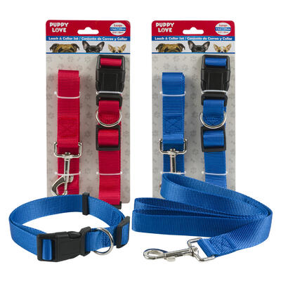 2pc dog collar w leash l - assorted colors -- 48 per case