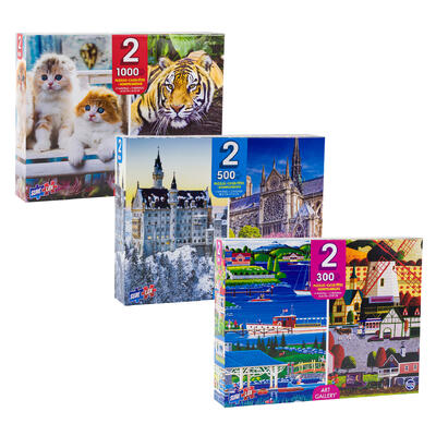 2 in 1 puzzle family pack- assorted -- 36 per case