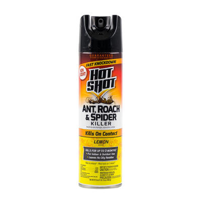 ant roach and spider lemon scented killer- 17.5oz -- 12 per case