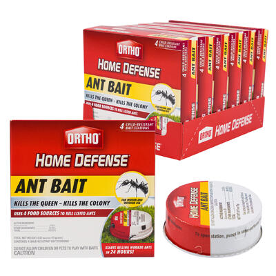 4ct ant bait -- 6 per case