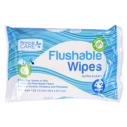 personal care flushable wipes 42 ct -- 12 per case