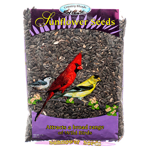 black sunflower bird seed - 1 lb -- 18 per case