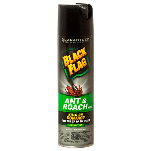 black flag ant & roach spring fresh 17.5 oz -- 12 per case