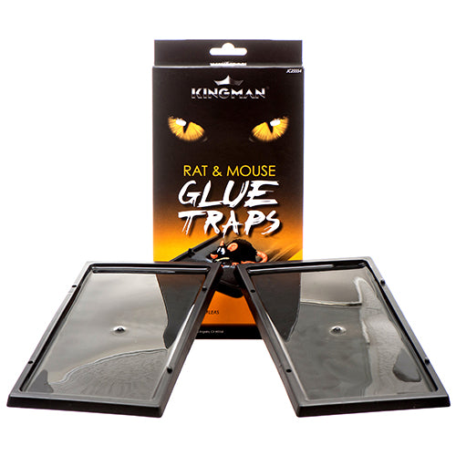 kingman prime mouse glue traps - medium -- 12 per box