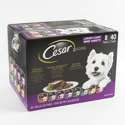 cesar dog wet food variety pack -- 40 per case