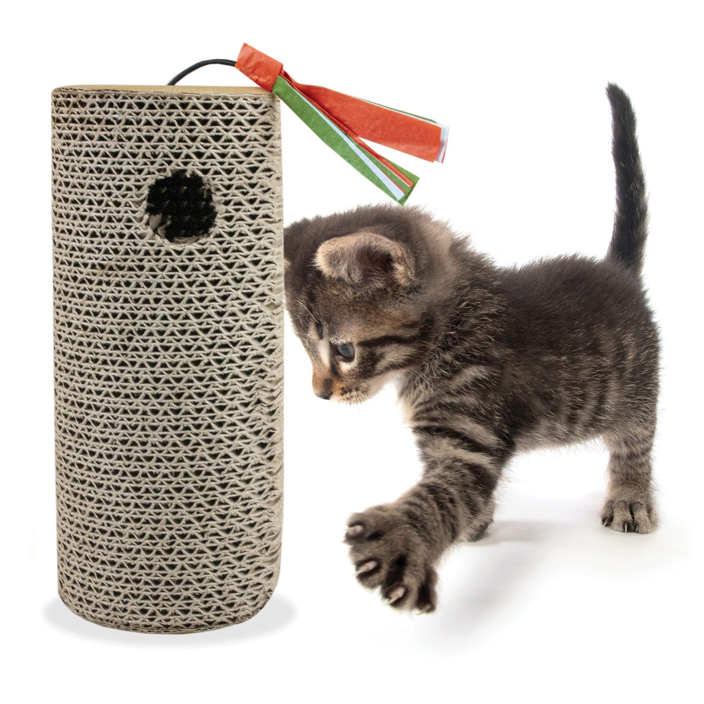 cat scratching board - durable and eco-friendly -- 8 per box