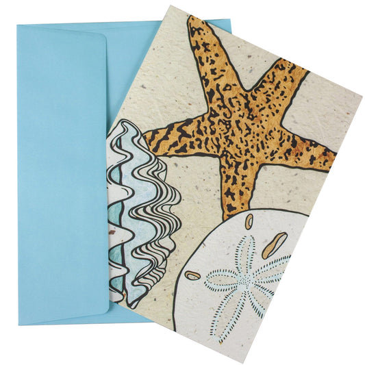 ocean escapade boxed note card set -- 44 per box