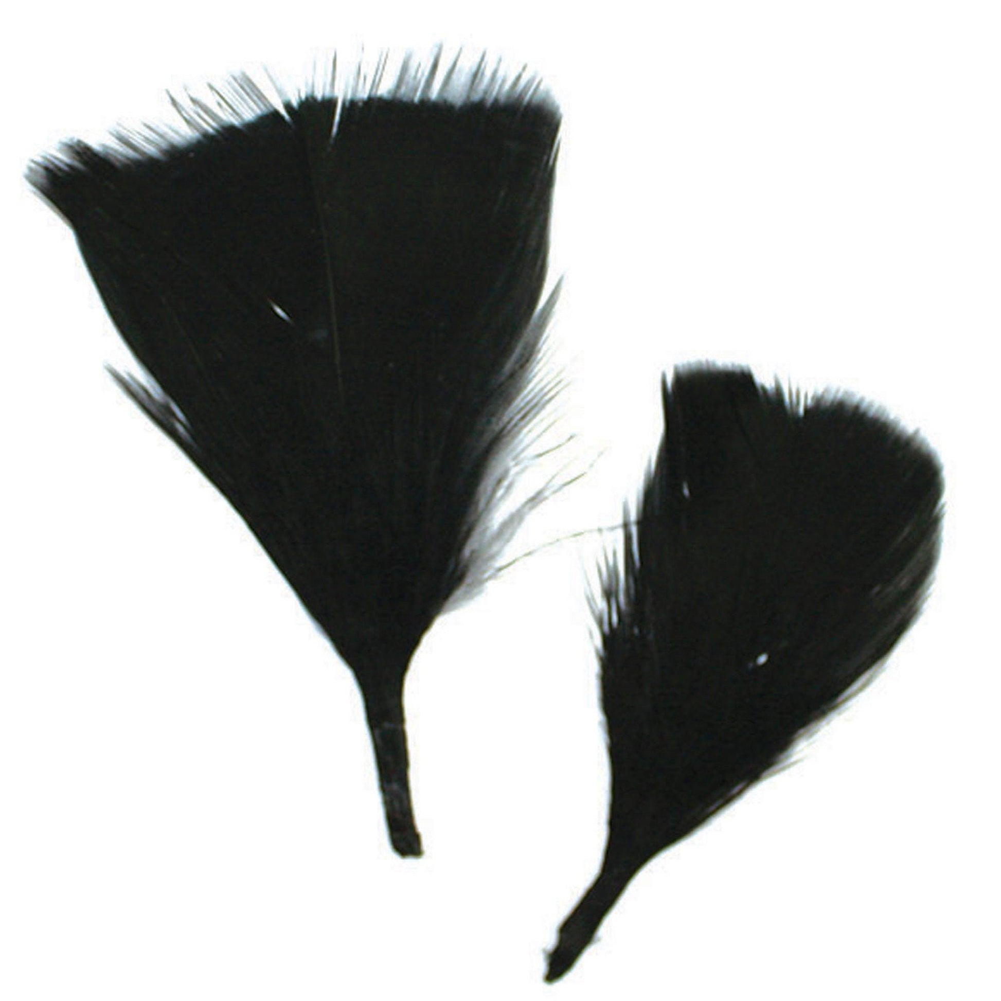 bulk black craft feathers - 144 pieces per case -- 56 per box