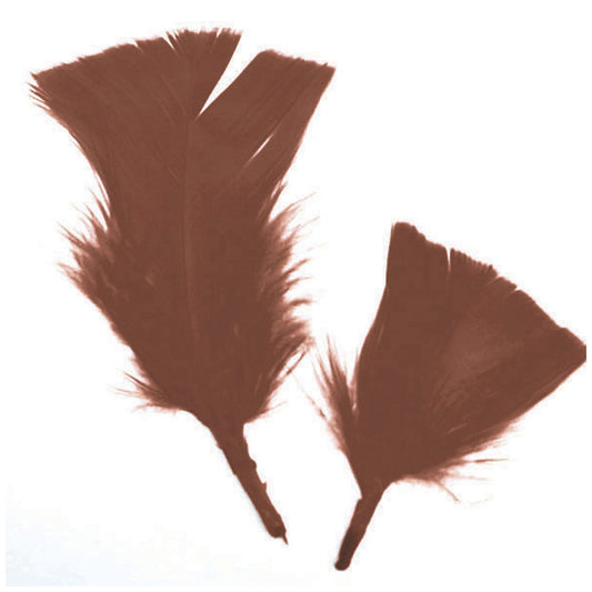 brown craft feathers  - bulk -- 56 per box