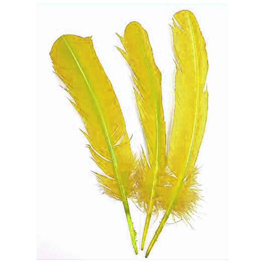 yellow quills - 12 inch - 3 pieces  -- 56 per box