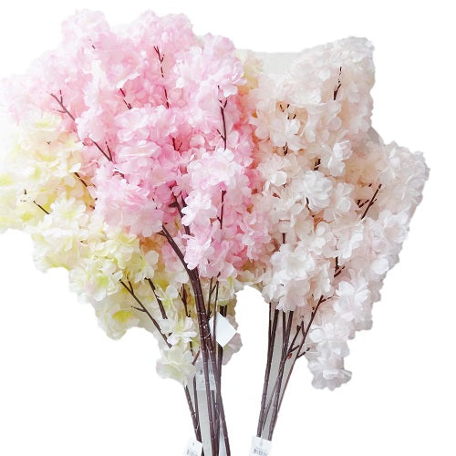 cherry blossom long stem asst clrs -- 24 per box