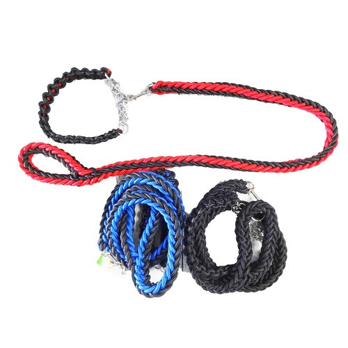 pet dog leash w- collar 2.5mmx1.2mm asst -- 6 per box