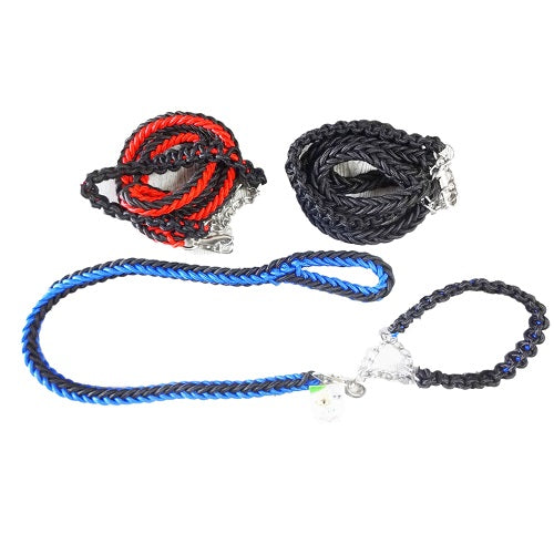 pet dog leash w- collar 3.0mmx1.2mm asst -- 6 per box