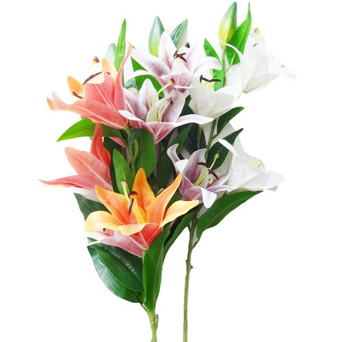 lily flower 4pc long stem asst clrs -- 24 per box