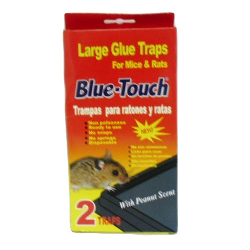 blue- touch mouse glue traps 2pk lg -- 48 per case