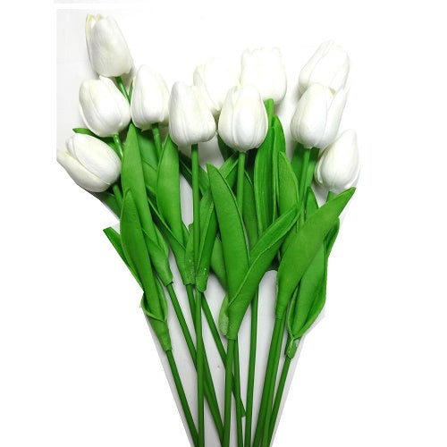 flowers tulip stem white -- 20 per box